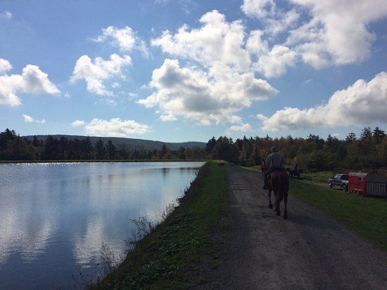 Cheat Mountain Stables